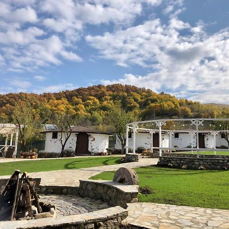 Satul Cu Flori Hotel Buzau Bagian luar foto