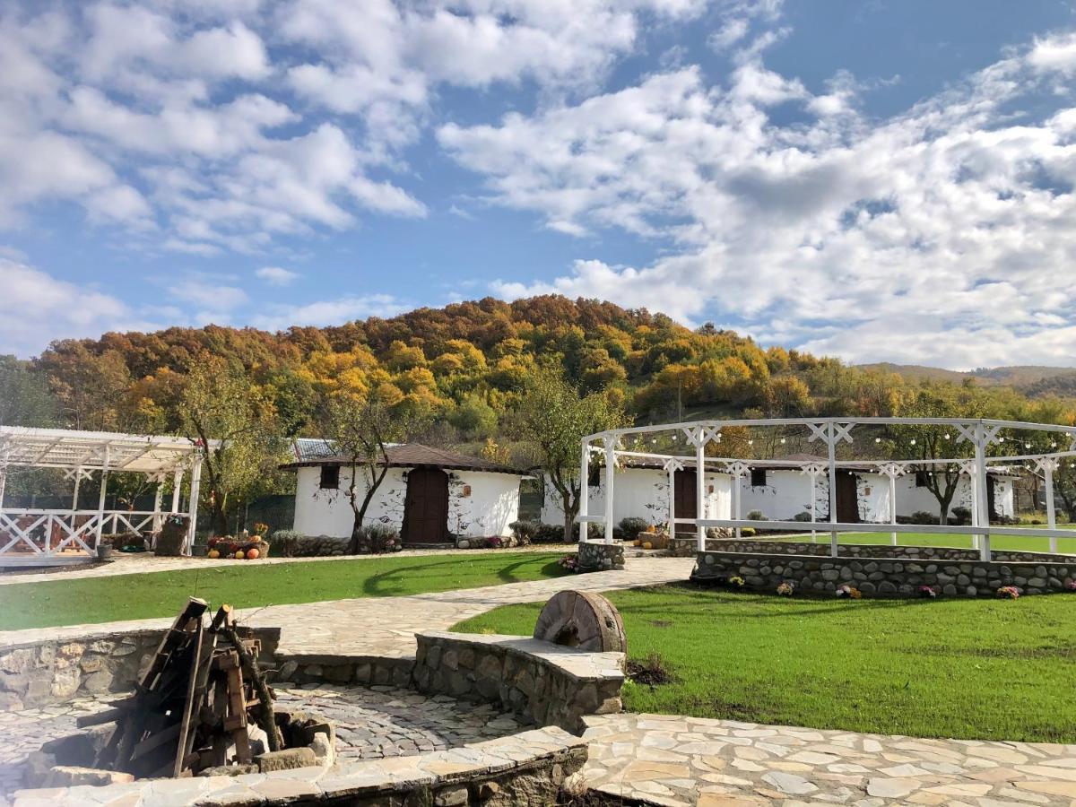 Satul Cu Flori Hotel Buzau Bagian luar foto