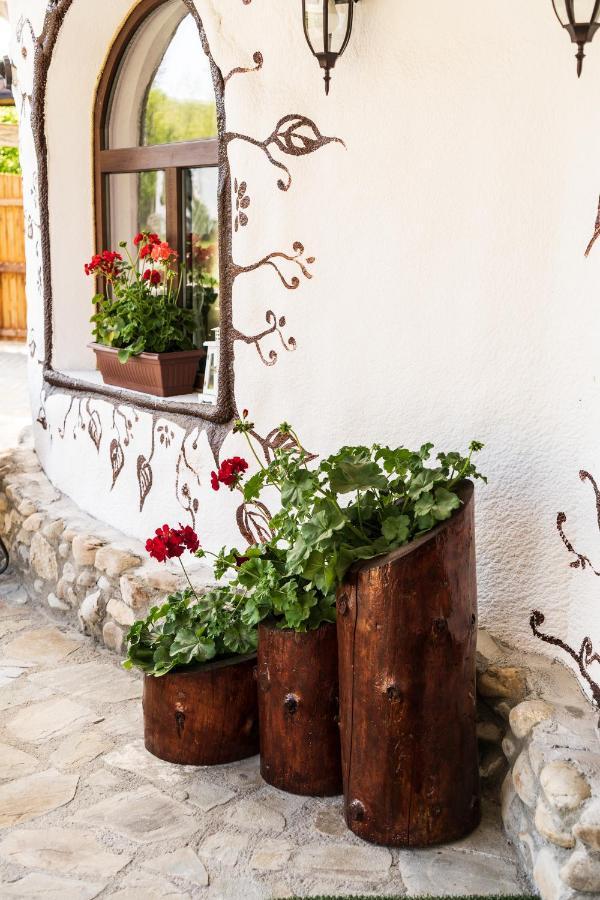 Satul Cu Flori Hotel Buzau Bagian luar foto
